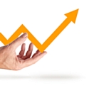 Franchise : les secteurs porteurs en 2013