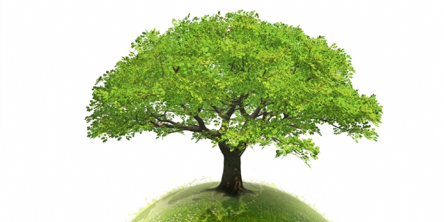 Artisans, tirez profit de votre démarche environnementale