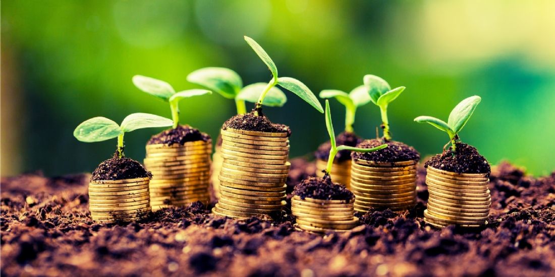 Comment investir sa trésorerie d'entreprise ?
