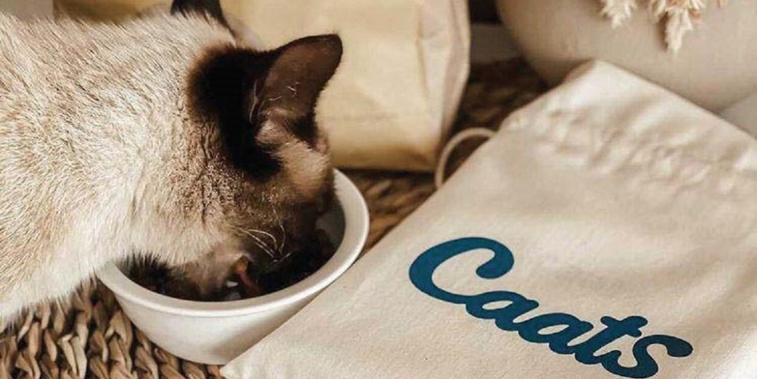 Caats chahute le marché du petfood