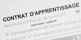 Le contrat d'apprentissage s'accompagne d'exonérations sociales pour l'entreprise.