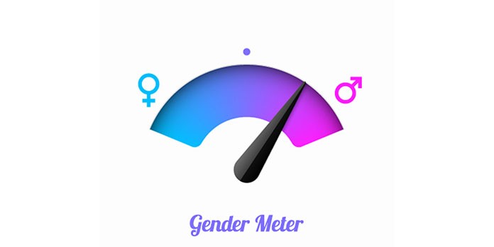 Index d'égalité professionnelle