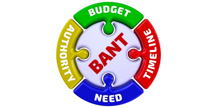 Tout savoir sur le BANT
