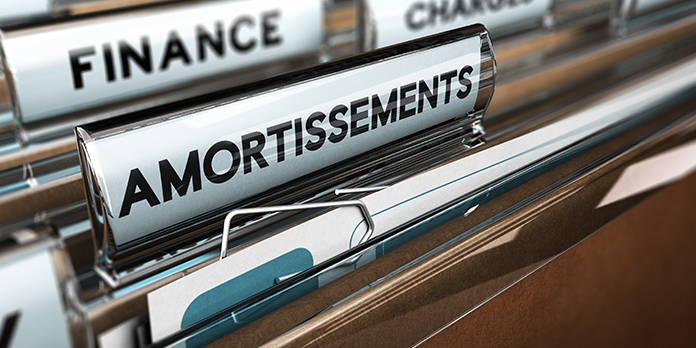 Tout savoir sur les immobilisations non amortissables